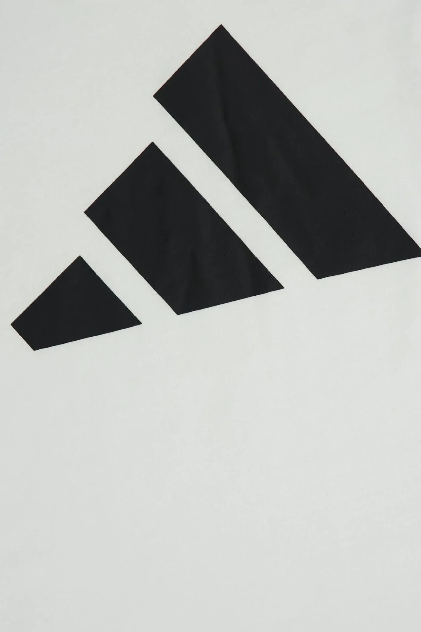 adidas Big Logo