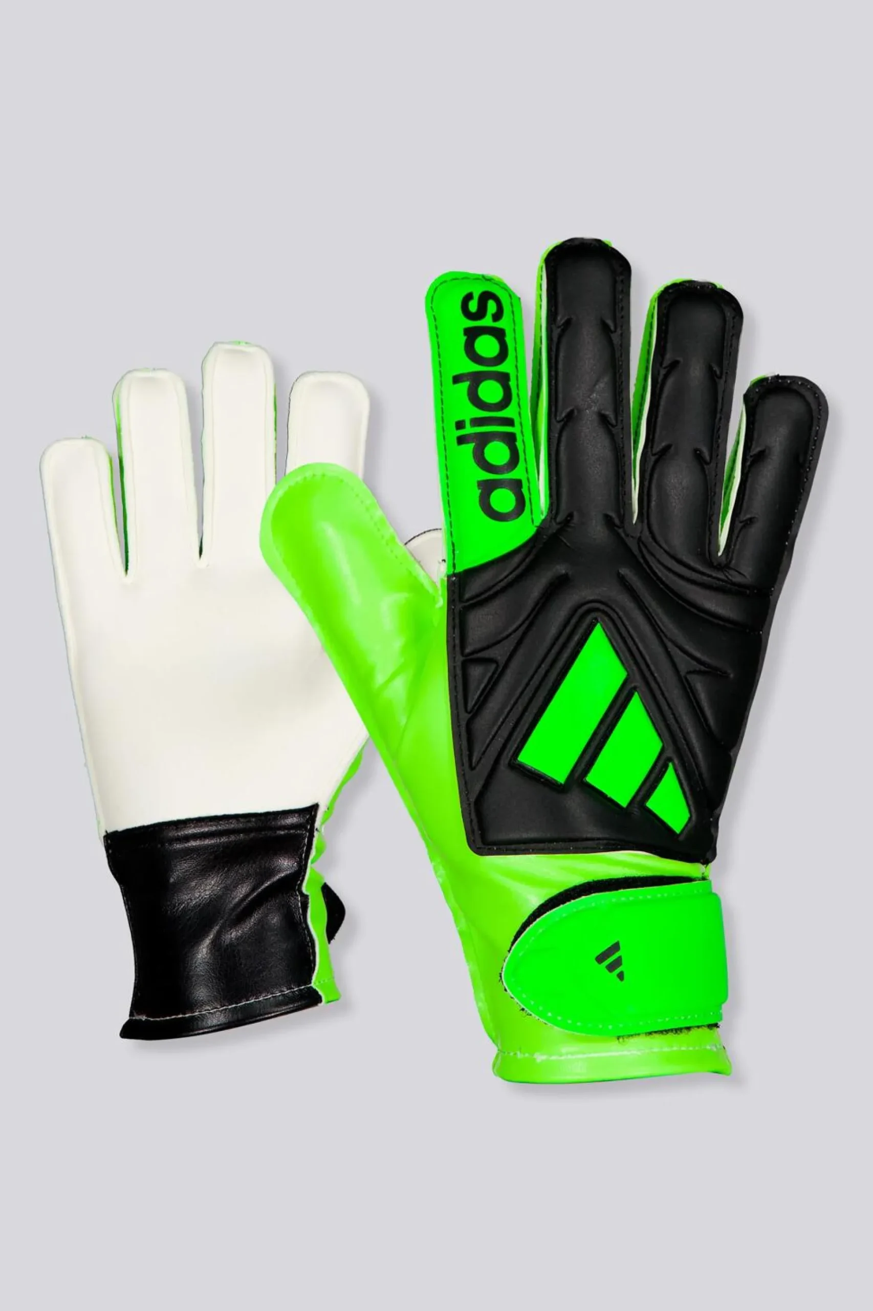 adidas Copa Gl Clb