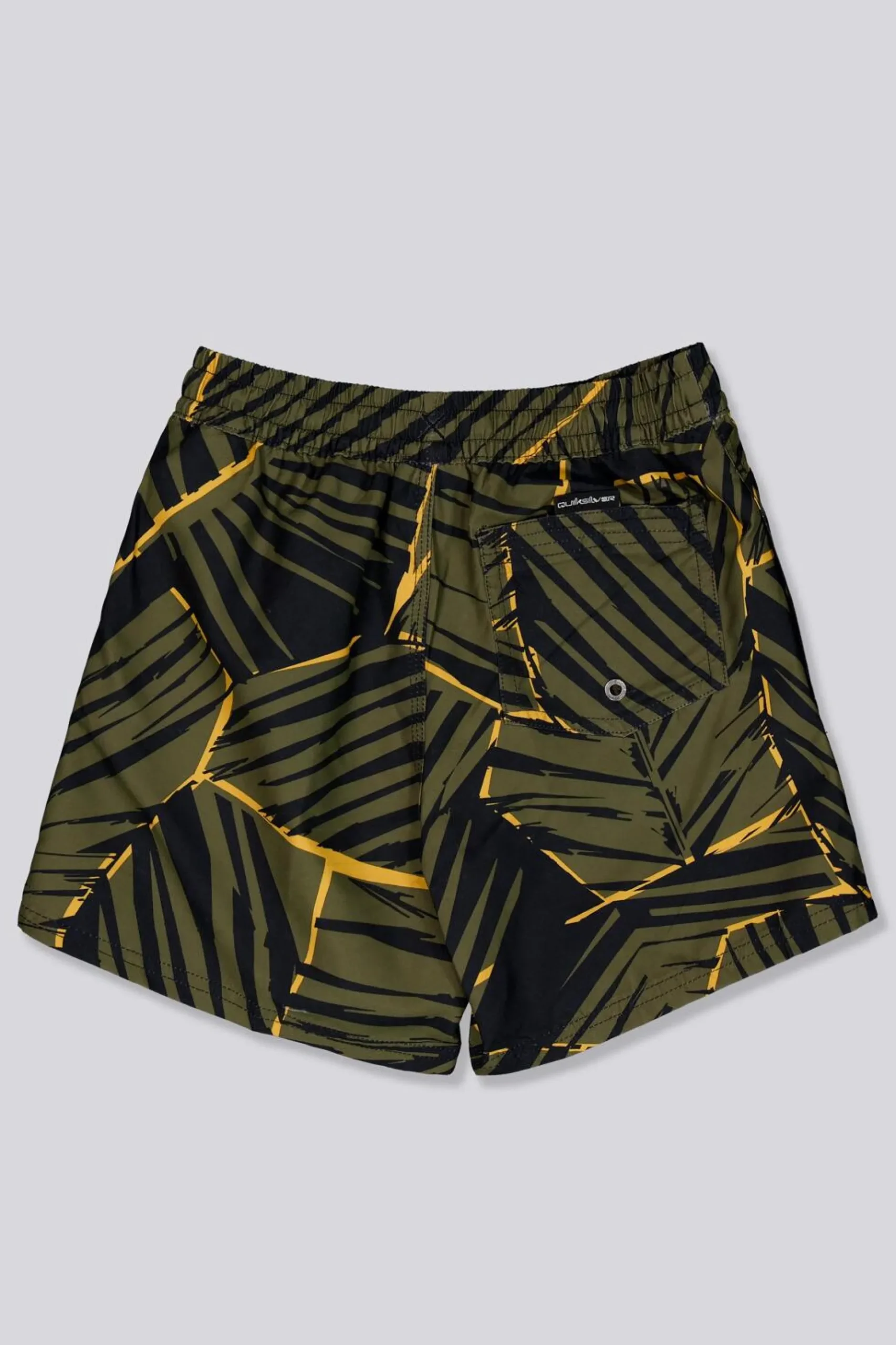 Calções Banho Quiksilver