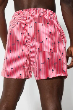 Calções Banho Riscas Jack & Jones
