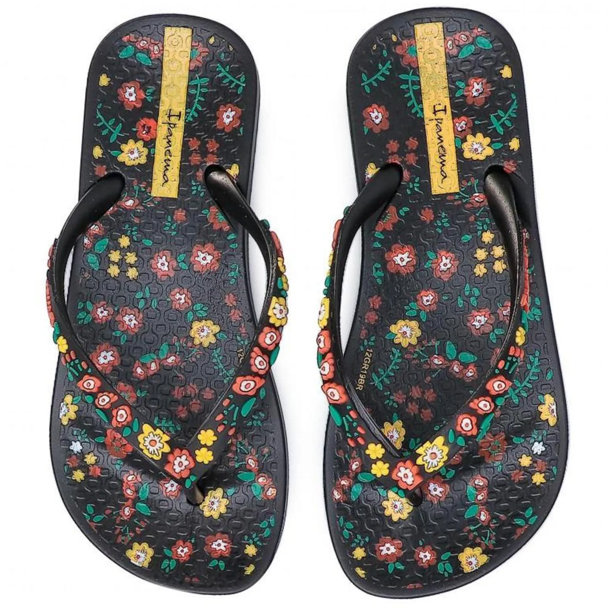 Chinelos Ipanema Anatomic