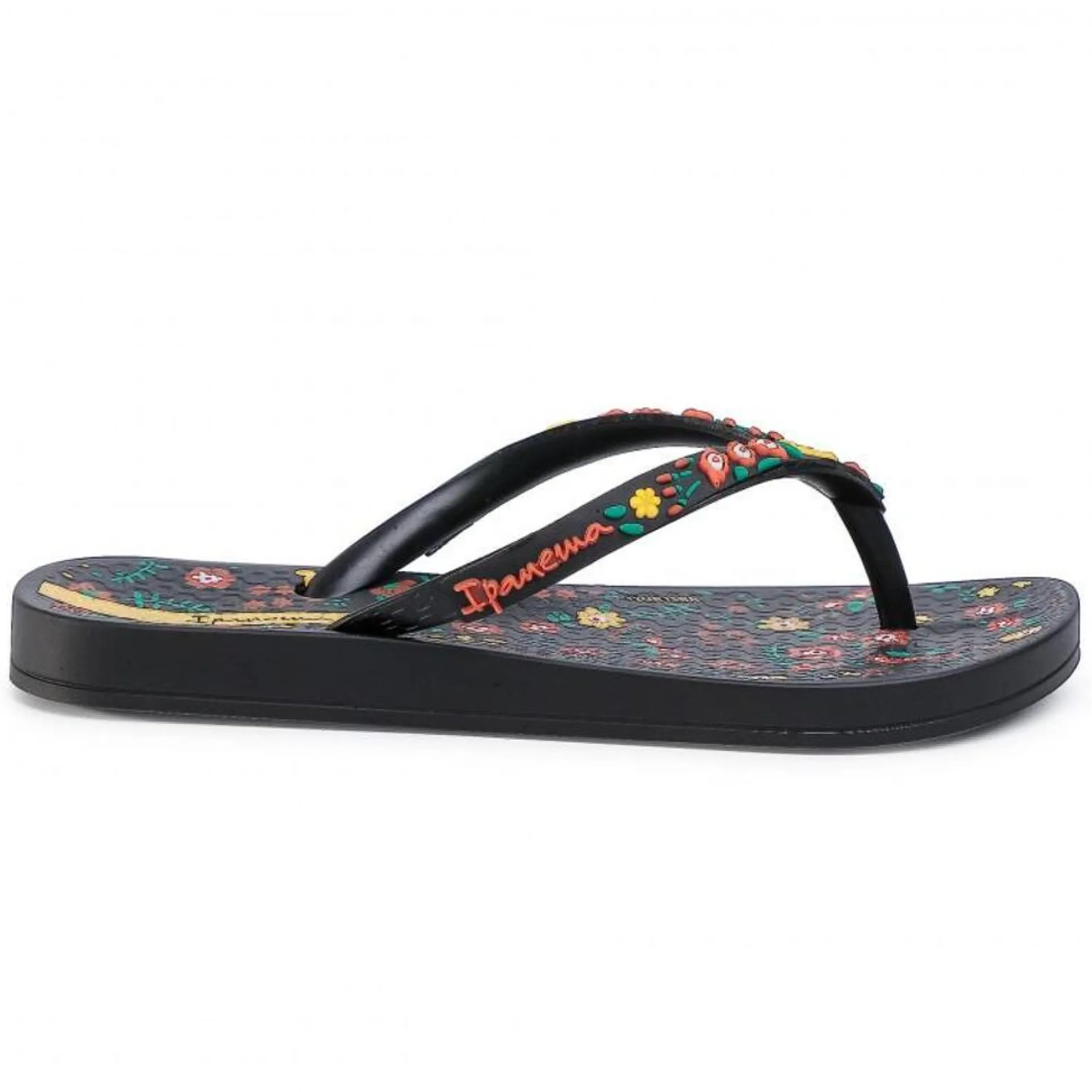 Chinelos Ipanema Anatomic