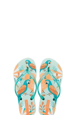 Chinelos Ipanema Temas Kids