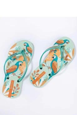 Chinelos Ipanema Temas Kids