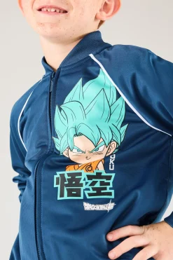 Fato Treino Goku