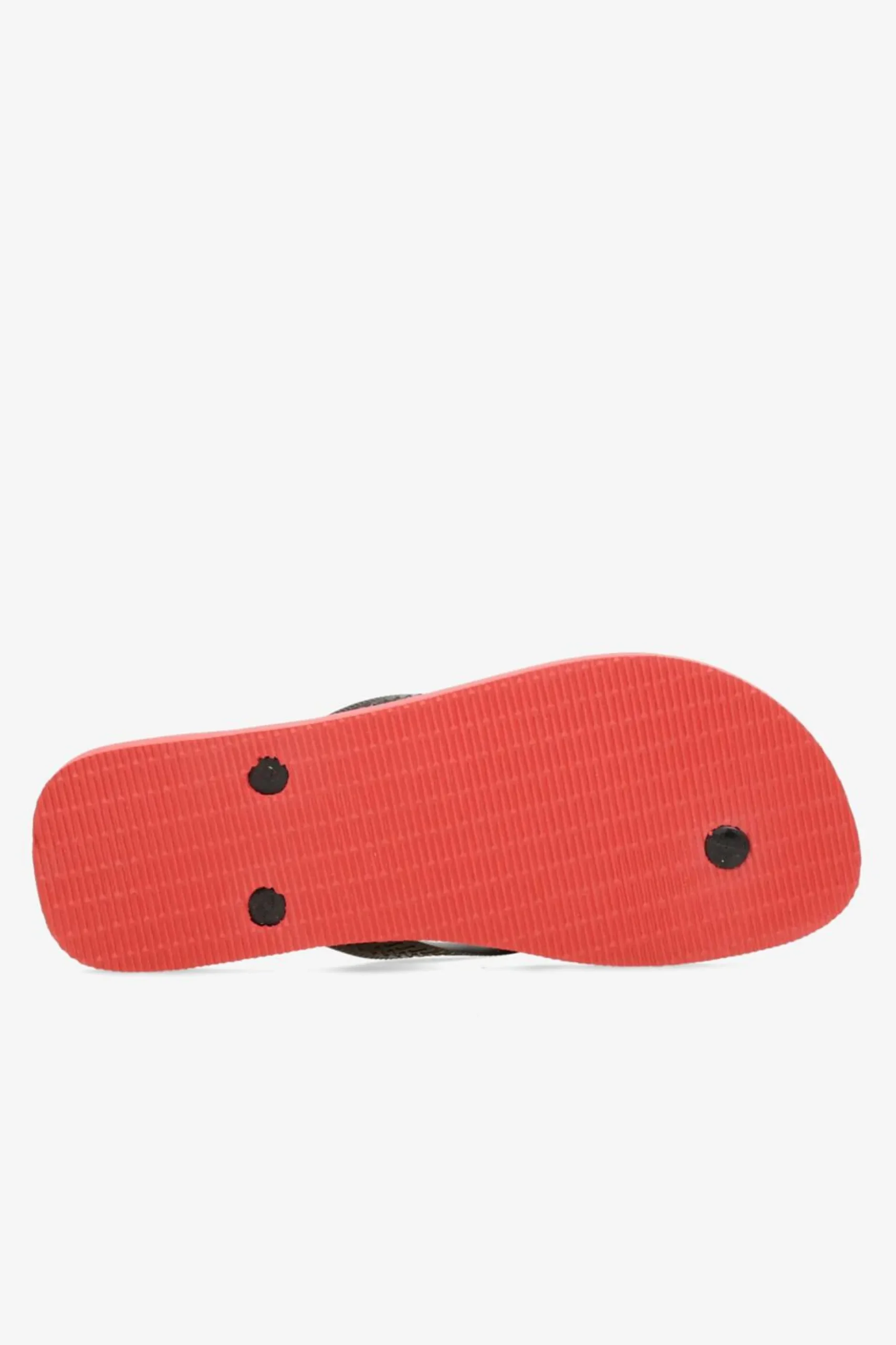 Havaianas Top Logomania 2