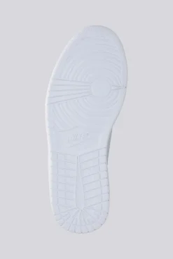 Jordan Acces Court Low