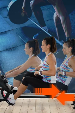 Máquina De Remo Bonplus Dobrável Com Lcd