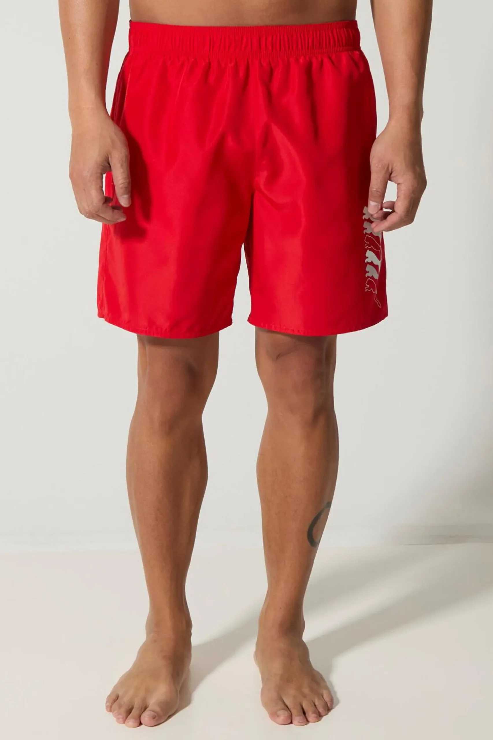 Puma Dobotex