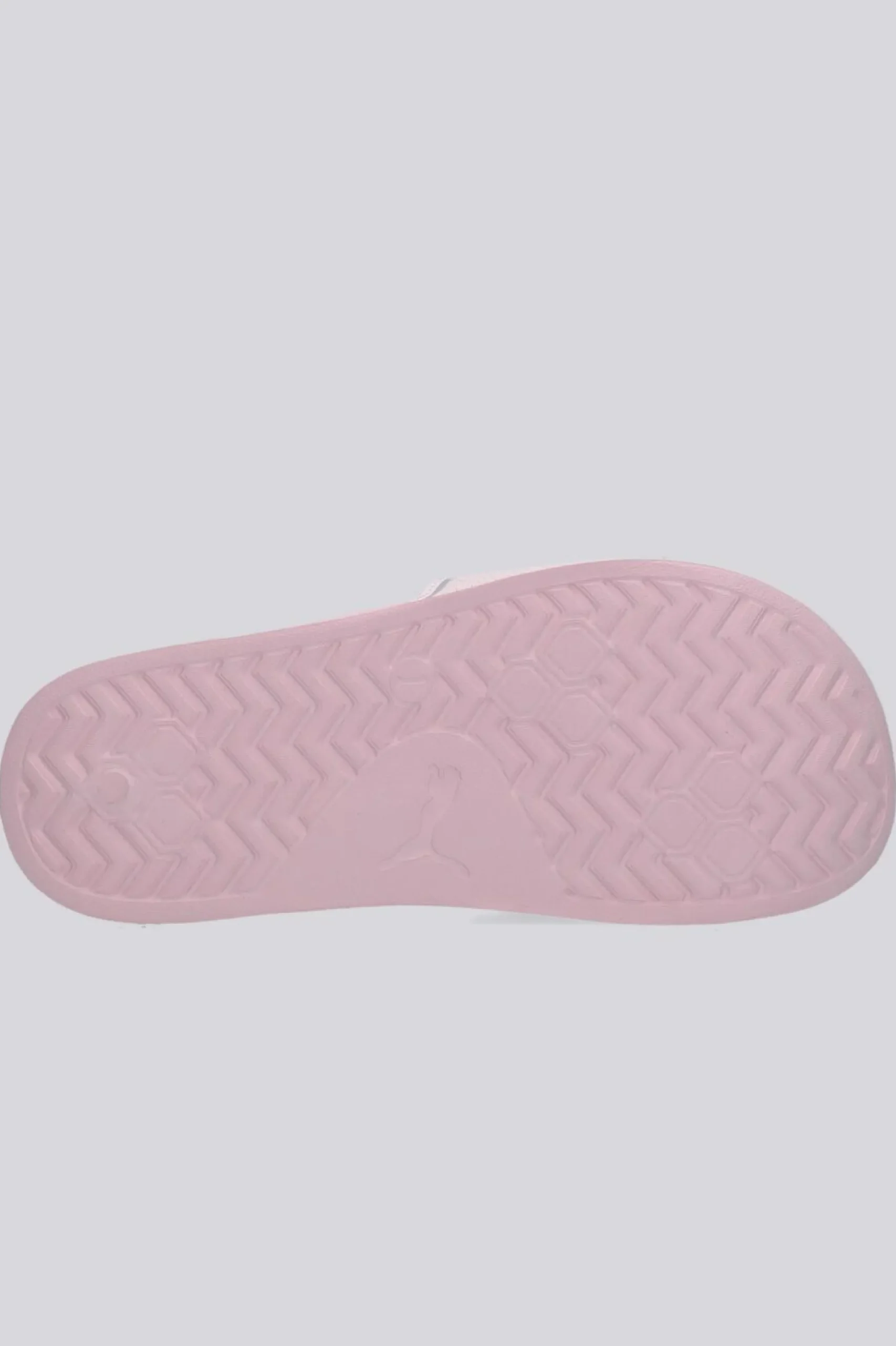 Puma Leadcat 2.0