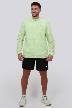 Puma Run Velocity