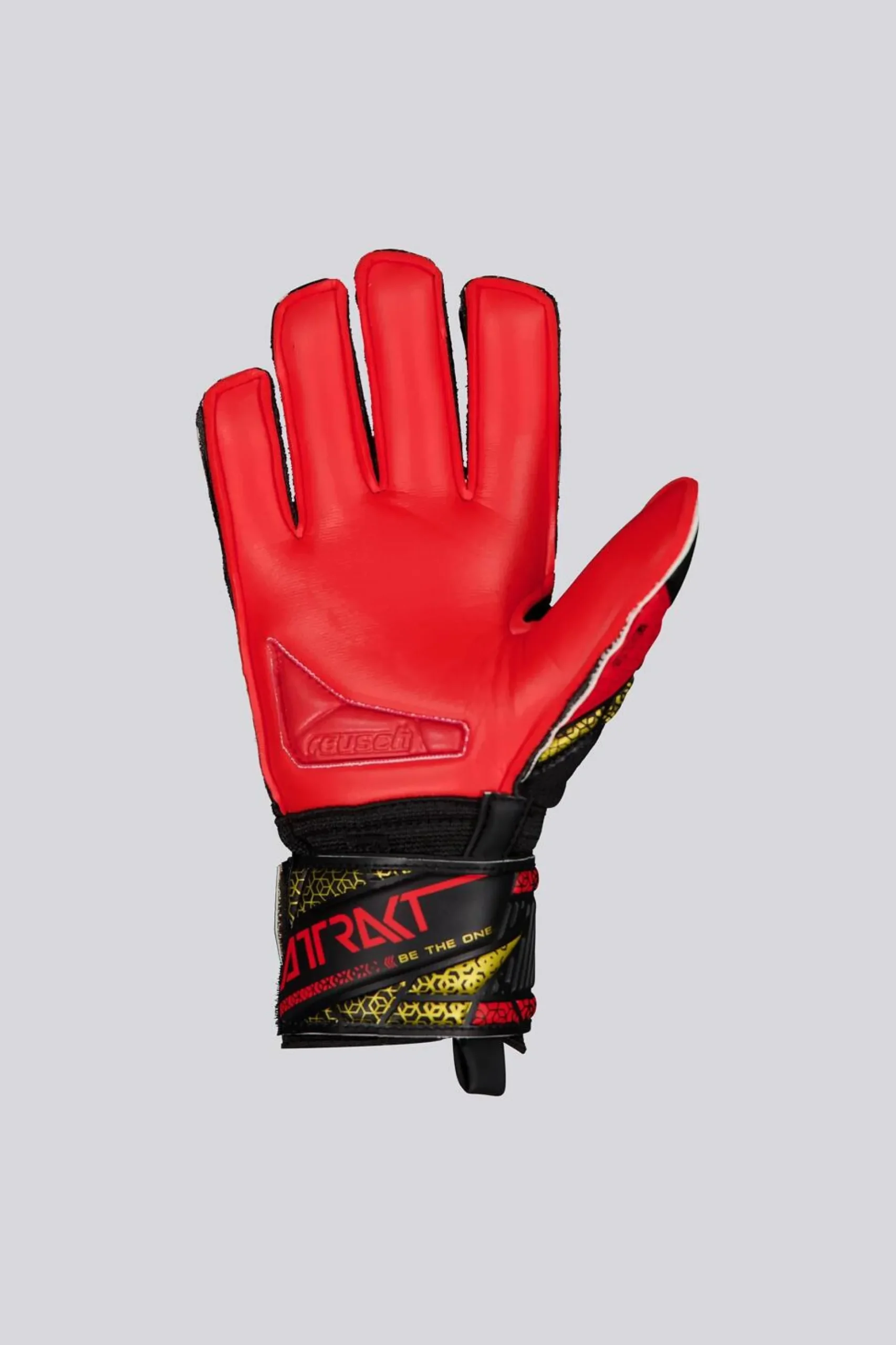 Reusch Attakt Silver