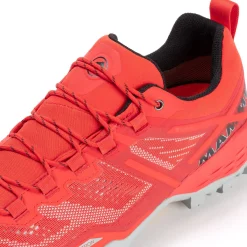 Sapatilhas De Montanha Homem Ducan Low Gtx Mammut