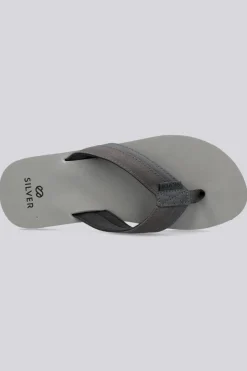 Silver Cera