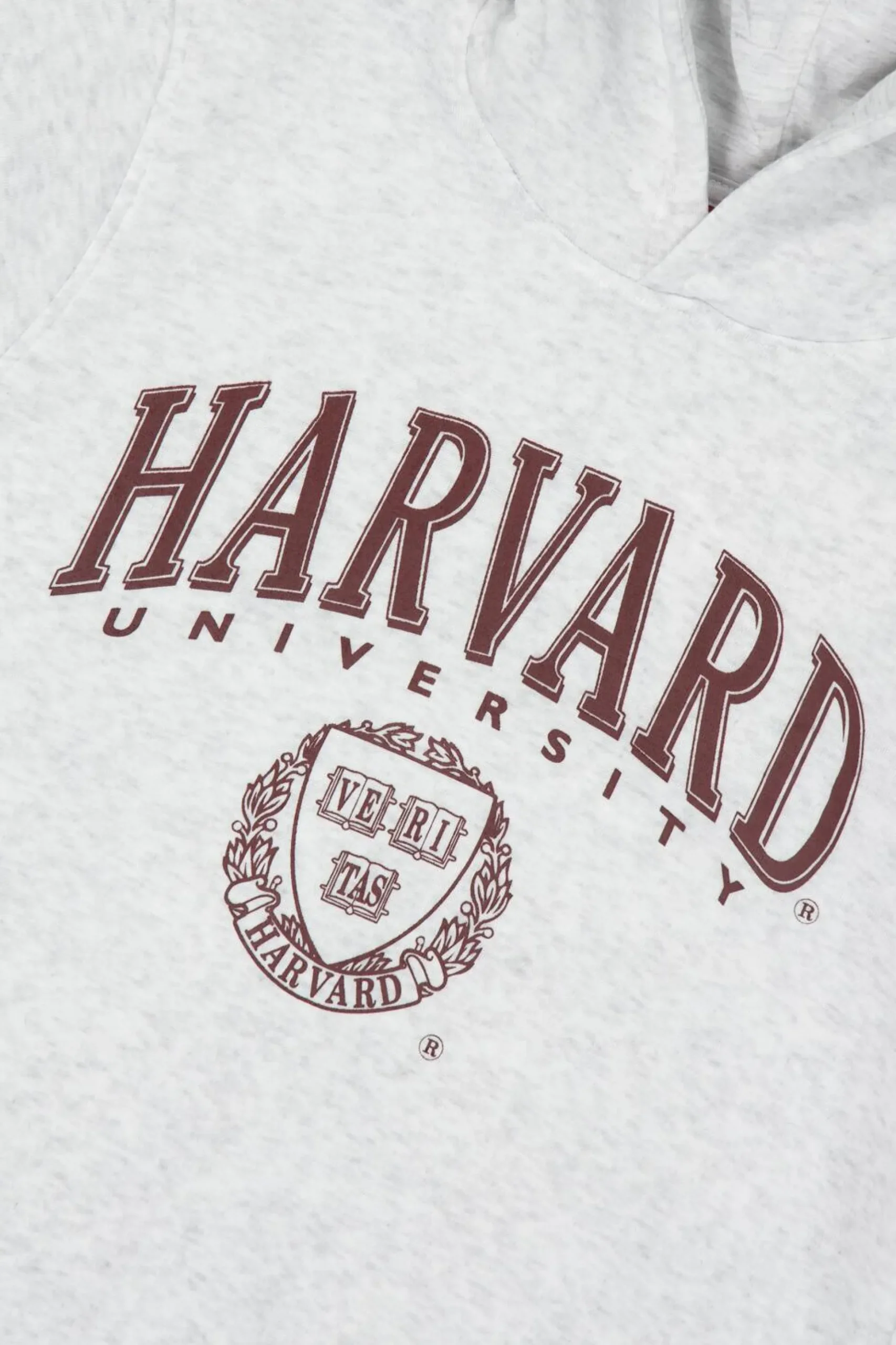 Sweatshirt Capuz Harvard