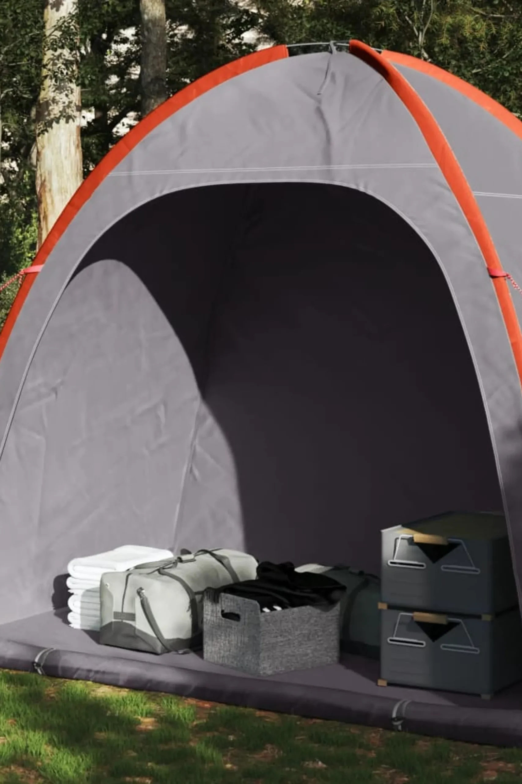 Tenda De Arrumação Vidaxl 200 X 163 X 185 CM