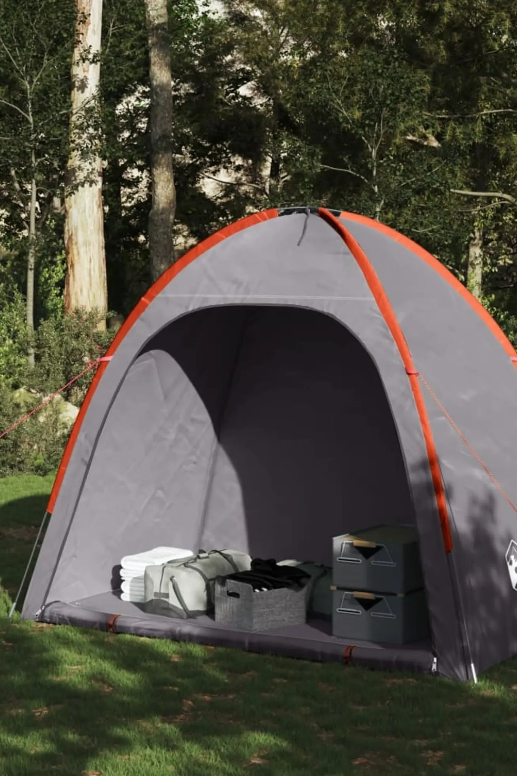 Tenda De Arrumação Vidaxl 200 X 163 X 185 CM