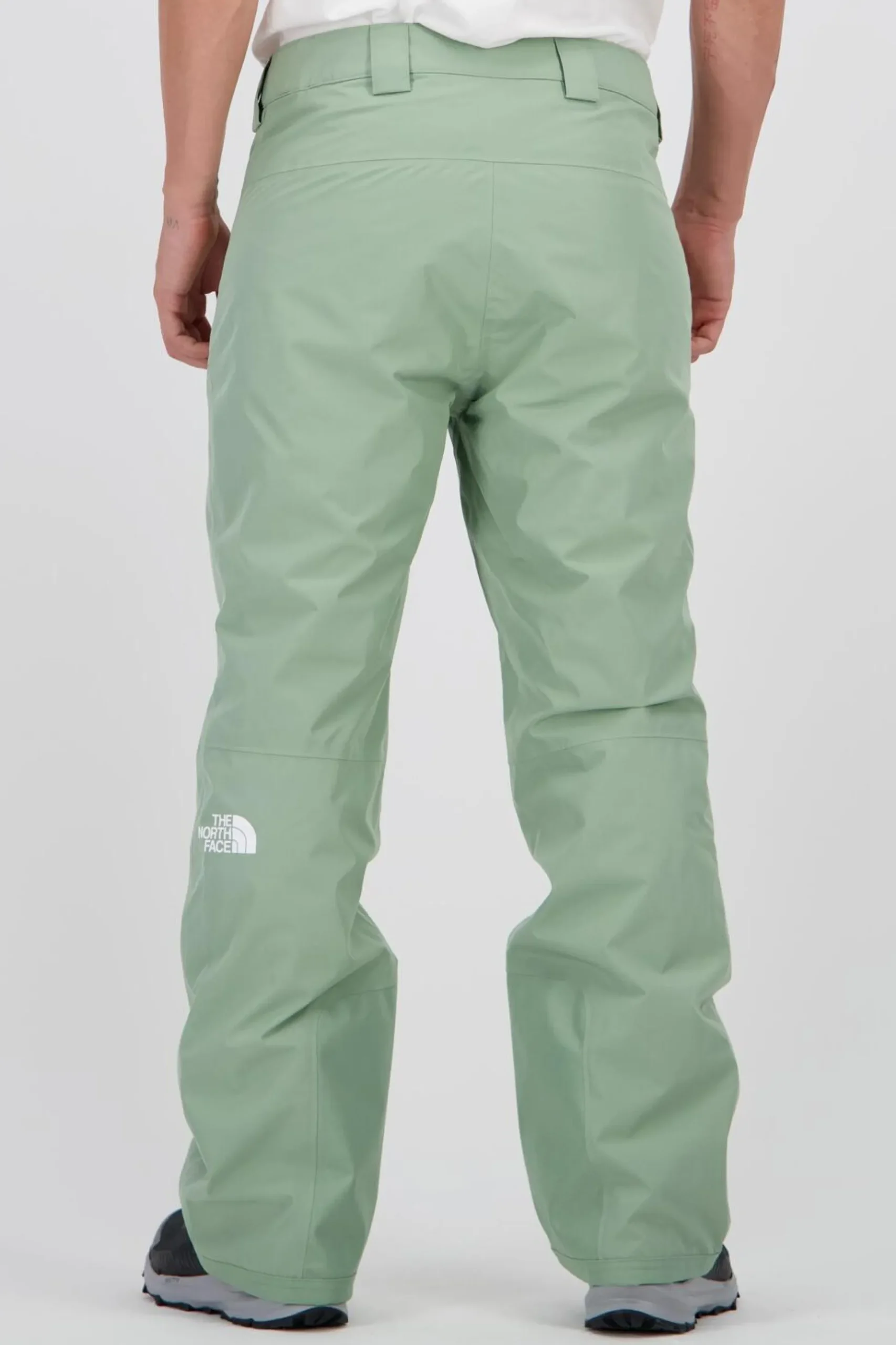 The North Face Descendit