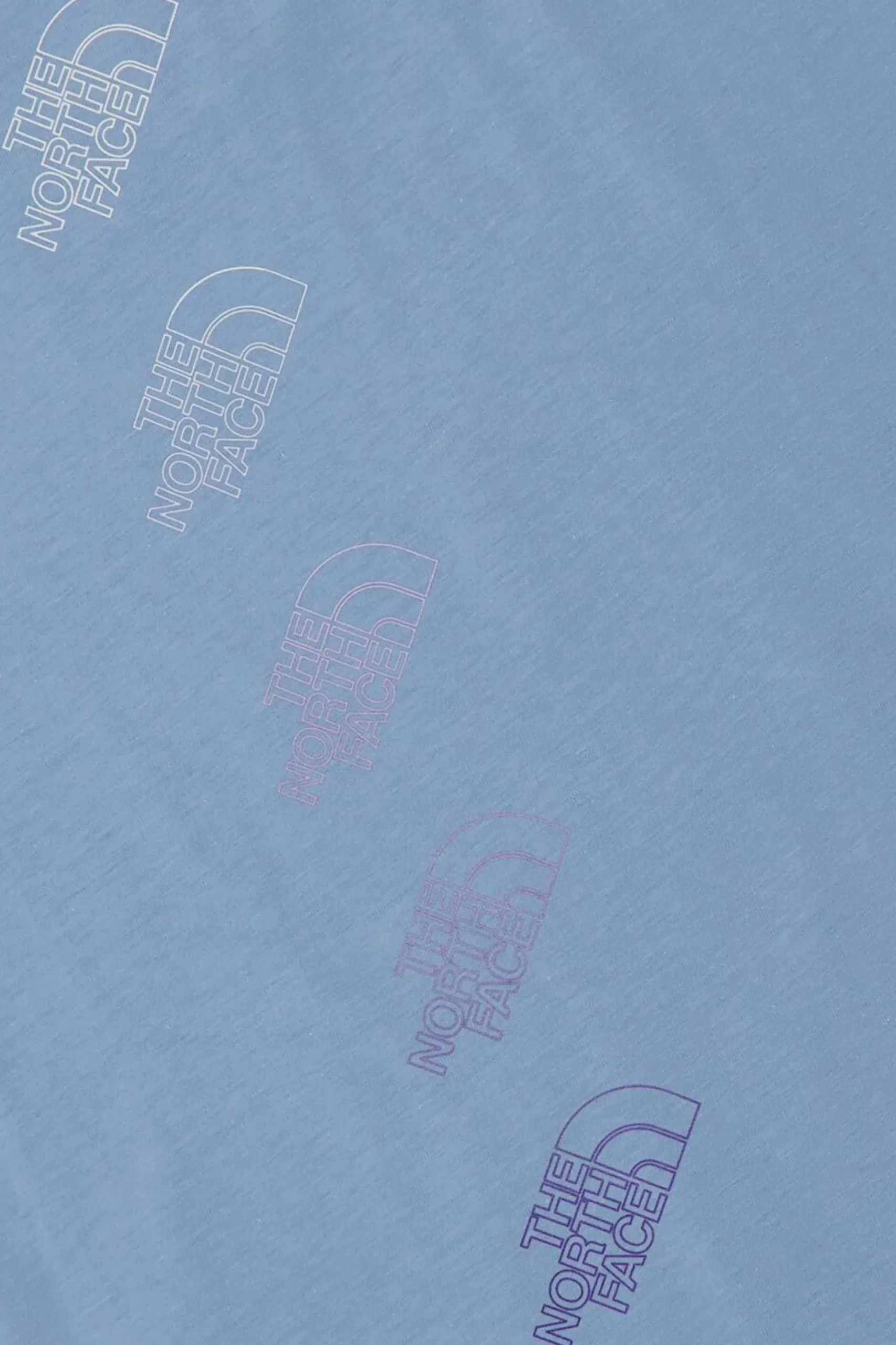 The North Face Relaxed Graphic 2